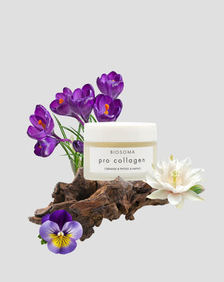 Lyftande ansiktskräm PRO COLLAGEN Ceramides & Peptides Biosoma - 2