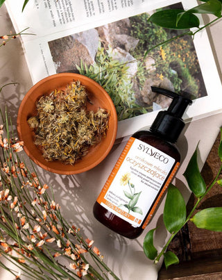 Rengörande arnikamjölk för alla hudtyper Sylveco - 2