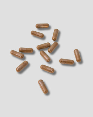 extrakt från ginkgo biloba-blad nutridome 60 st_2 - 2
