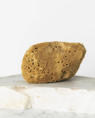 Naturlig havssvamp brun 9,5 cm 02F allergivänlig och antibakteriell Hhuumm - 2