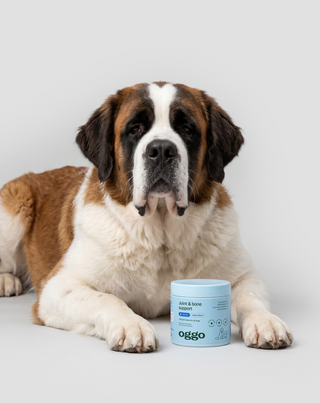 Joint & Bone Support kompletteringsfoder för hundar för leder och ben Oggo 180 g - 3