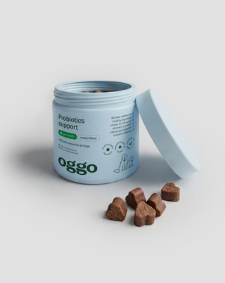Probiotics for Dogs kompletteringsfoder för hundar för matsmältning, mag-tarmkanal och immunförsvar Oggo 180 g - 4
