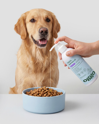 Laxolja 100 % kompletteringsfoder för hundar för immunitet och energi Oggo 250 ml - 3