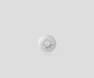 Grå platinafärgade kontaktlinser, månatliga gråmånar nr.2 Ovio - 3