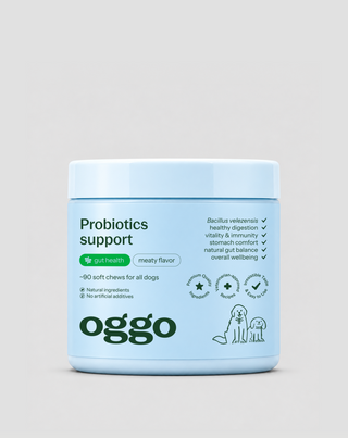 Probiotika för hund Bacillus velezensis för matsmältning, tarmar och immunförsvar Oggo 180 g - 1